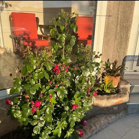 Le Clos Des Galets *